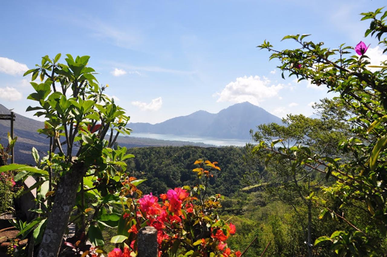 Hotel Alam Mimpi Bali Tejakula Esterno foto