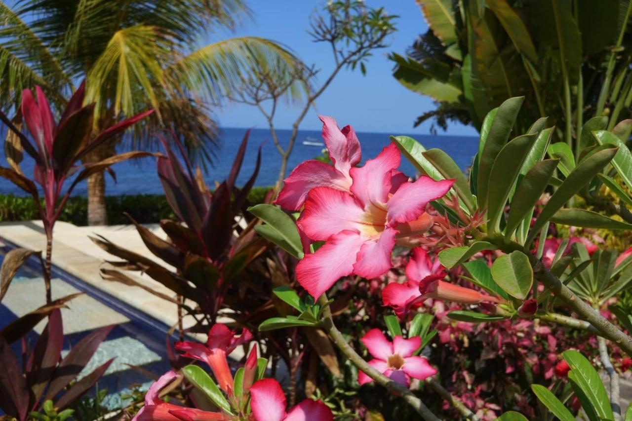 Hotel Alam Mimpi Bali Tejakula Esterno foto